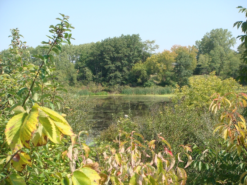 Western Michigan [2009] 367.JPG - Scenes from Frederik Meijer Gardens & Sculpture Park.